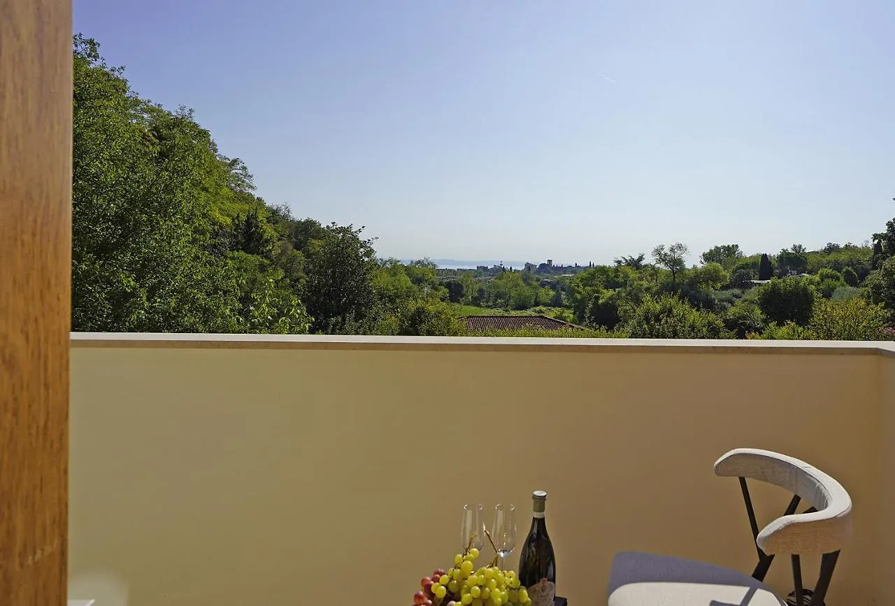 Villa Gelso park&private pool, lake view, ac, Soiano Del Lago 0*,  Italia